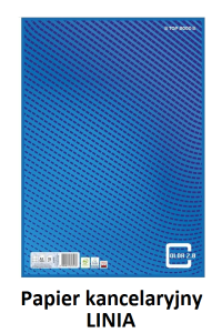 Papier kancelaryjny A3 (100ark.) linia