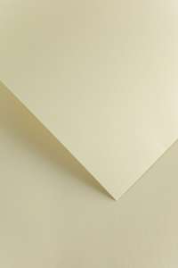 Karton ozdobny A4 floryda krem 220g       (200302) (20ark.)